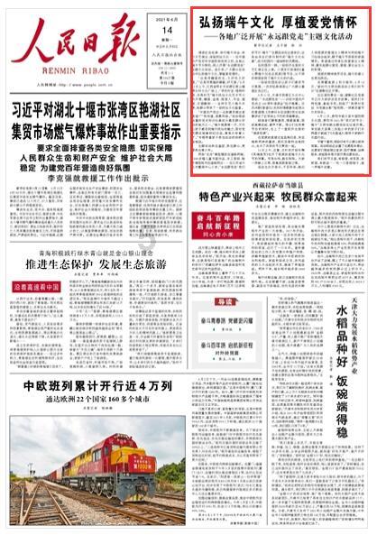 数码宝贝8
